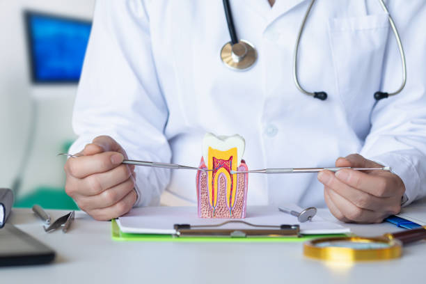 Best Orthodontic Emergency Dentist in Newport News, VA
